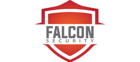 Falcon Security